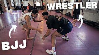 BJJ vs High Level Wrestler WHO WINS?