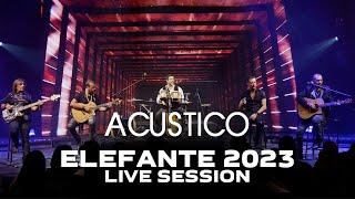 Set Acustico ELEFANTE 2023 Live Session