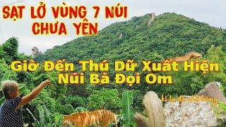 Sạt Lở Vùng 7 Núi Chưa Yên Giờ Đến Núi Bà Đọi Om Xuất Hiện Thú Dữ Quá Kì Lạ Đá Chỗ Bông