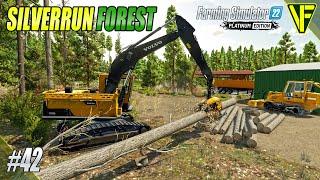 Gathering Materials  Silverrun Forest  Farming Simulator 22