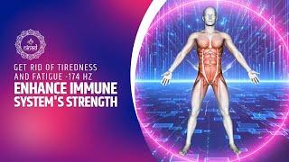 Enhance Your Immune Systems Strength - Get Rid Of Tiredness Inflammation And Fatigue -174 Hz