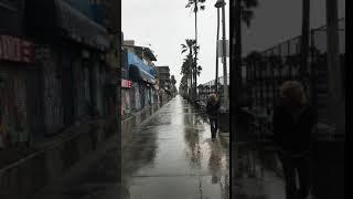 Homeless Man Searches Trash Bins Empty Venice Beach Boardwalk  32220