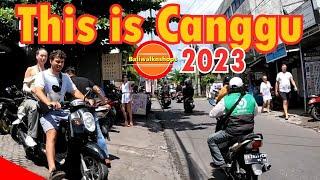 THIS IS CANGGU   Canggu Bali 2023