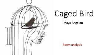 CAGED BIRD Poem analysis  Grade 10 English lessons South Africa