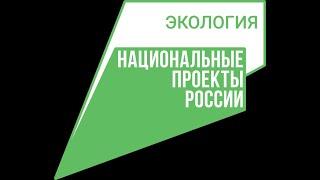 Национальный проект России Экология. Республика Дагестан Каякентское лесничество