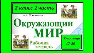 Окружающий мир  рабочая тетрадь 2 класс. На воде и в лесу