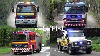 MAJOR WILDFIRE DEVASTATES SURREY MILITARY LAND - Fire Engines Respond To Large Surrey Wildfire