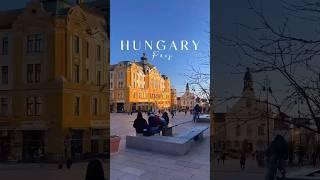 Choose Hungary in 2024 You also get to migrate with your family and work   #studyinhungary