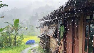 Heavy rain in rural Indonesiabeautiful rural atmosphereASMR raining