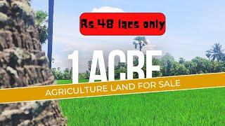 Nellores Best Agriculture Land Deal  1 Acre for Sale only Rs. 48 Lacs @RealWealthProperties