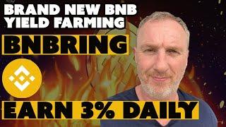 Brand New Yield Farming on the Binance Smart Chain  Earn 3% Daily Passive Income by Staking BNB