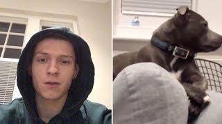 Tom Holland  Snapchat Videos  November 30th 2017