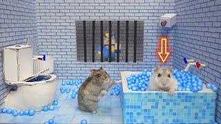 Hamsters Escapes the Awesome 5-Star Luxury Prison Maze with Bathtub for Pets in real life