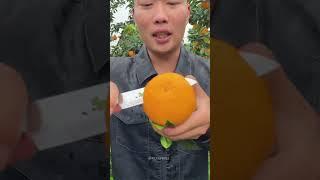 Satisfying fresh fruit farm #orange #fruit #shorts