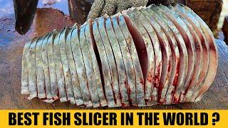 Fastest Fish Slicers In The World  Best Fish Slicer You Will Ever See