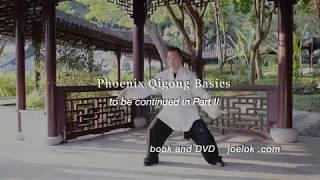 Phoenix Qigong Basics Part I