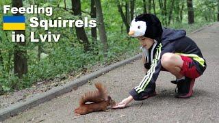 Feeding Squirrels in Lviv