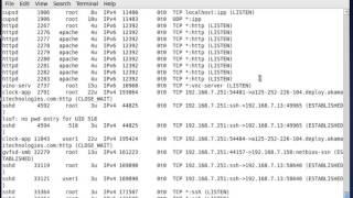 To Find Out what files are open by which process in linux