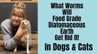 Deworming Dogs and Cats with Diatomaceous Earth Natural Parasite Control