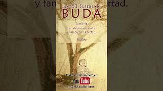 Buda - Sutra 48 Del Audiolibro Los 53 Sutras de Buda #audiolibro #buda #budismo #espiritualidad