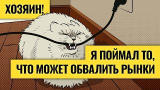 Выборы хуситы или ... — от чего сейчас зависят рынки?  Рост золота и падение облигаций. LIVE