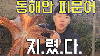 문어 직접 잡아 숯불구이 해먹자  Octopus dish Korea eating show cooking show Korea Octopus