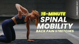 15 Min. Spinal Mobility Routine  Back Pain Relief Stretches  Follow Along w Music  Daily Flow