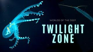 Mysteries of the Twilight Zone  Worlds of the Deep