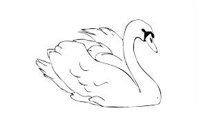 How to Draw a Swan  Как нарисовать лебедя