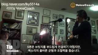 세스릭스 발성 테크닉 레슨해설 전편 12  SLS 발성법믹스보이스 SingingfortheVocalist 이상림  보컬 트레이닝 with Seth riggs