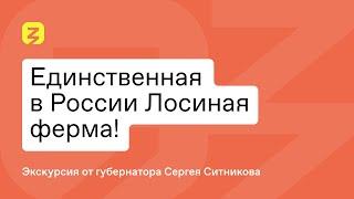 Самая крупная лосиная ферма в мире