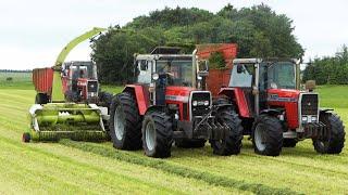 Massey Ferguson 2640 2680 & 2725 Chopping Grass  Vintage Grass Silage Day