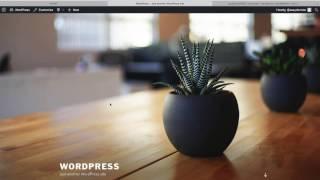 How to set up WordPress with MAMP