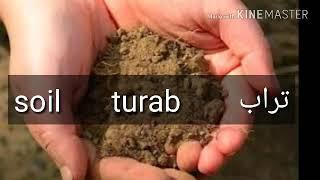 How to pronounce Soil in arabic