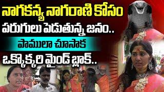 Public Shocking Reaction After Watcing Snake Girl Nagarani Bhavitha  Guntur Temple  Wild Wolf