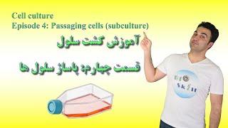 آموزش کشت سلول. قسمت چهارم پاساژ سلول ها - Cell culture Ep04 Passaging cells culture media