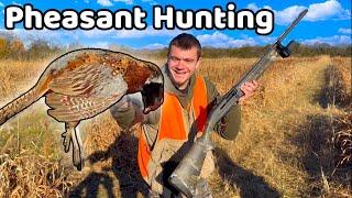 I Hunted Pheasants for the First Time