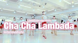 Cha Cha Lambada Line Dance l Intermediate l 차차 람바다 라인댄스 l Linedancequeen