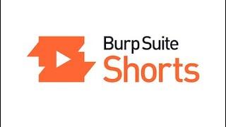 Burp Suite Shorts  Organizer