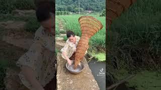 Wow Amazing Fish TrapBeautiful Girl Fishing