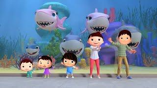 Baby Shark Doo Doo Doo for kids song