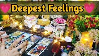 Deepest Feelings Next Action With Angel GuidanceTimeless Tarot Reading