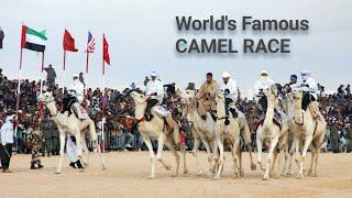 Dubai Famous  Camel Race   Raaz Tour Info