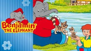 Benjamin the Elephant A Friend for Rocky Racoon FULL EPISODE