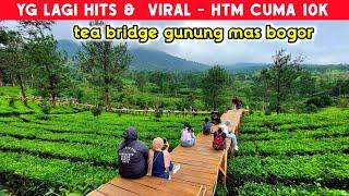 HTM CUMA 10K YANG LAGI VIRAL DI PUNCAK  TEA BRIDGE GUNUNG MAS BOGOR