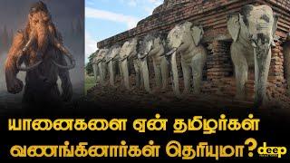 யானைகளை தமிழர்கள் ஏன் வணங்கினார்கள் தெரியுமா?  elephant history in tamil  Deep Talks Tamil