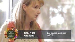 ¿Por qué ocurren los Trastornos del Lenguaje? Dr.Nora Grañana