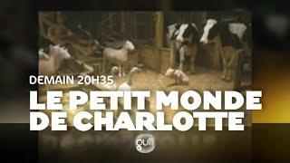 Ba Gulli 2011 - Le petit monde de Charlotte