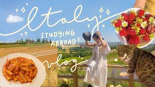 i moved to ITALY for study abroad...heres how it went.