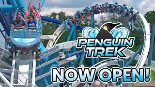 Our First Ride on SeaWorld Orlandos New Coaster Penguin Trek Initial Thoughts Tour & More